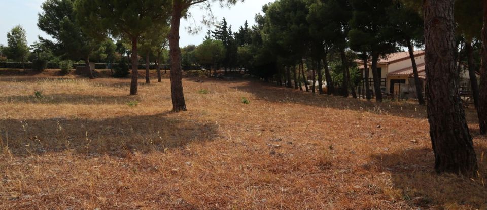 Land of 765 m² in Fitou (11510)