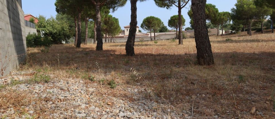 Land of 832 m² in Fitou (11510)