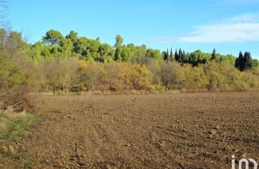 Land of 16,160 m² in Sigean (11130)