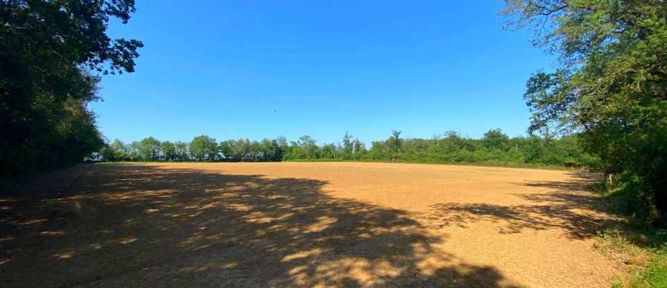 Agricultural land of 525,629 m² in Saint-Martin-l'Ars (86350)