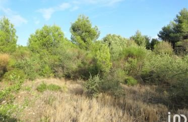 Land of 4,065 m² in Sigean (11130)