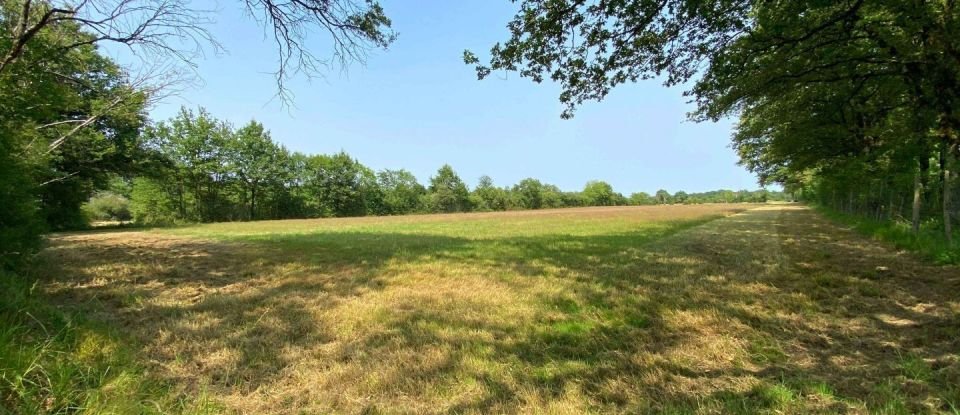 Land of 583,280 m² in Le Vigeant (86150)