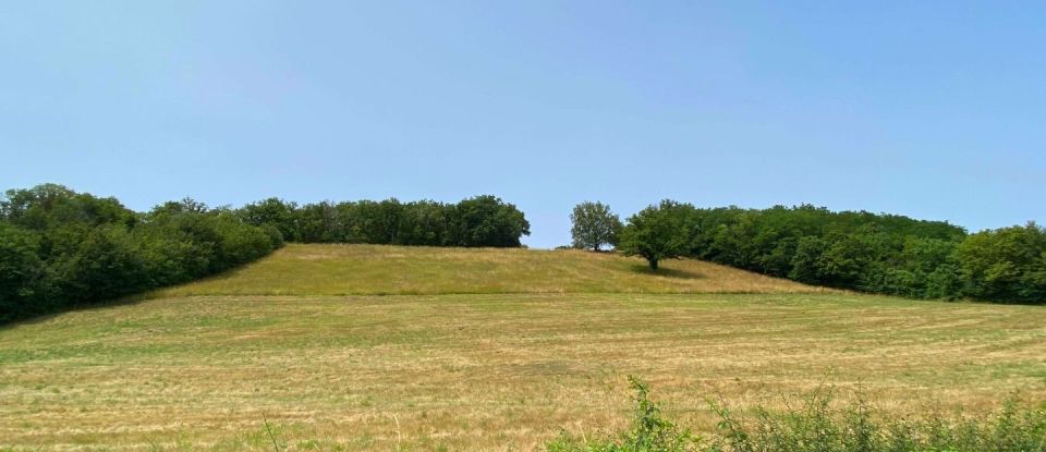 Land of 150,631 m² in Le Vigeant (86150)