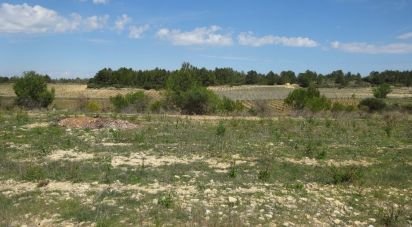 Land of 1,367 m² in Sigean (11130)