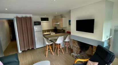 Appartement 2 pièces de 34 m² à Saint-Lary-Soulan (65170)