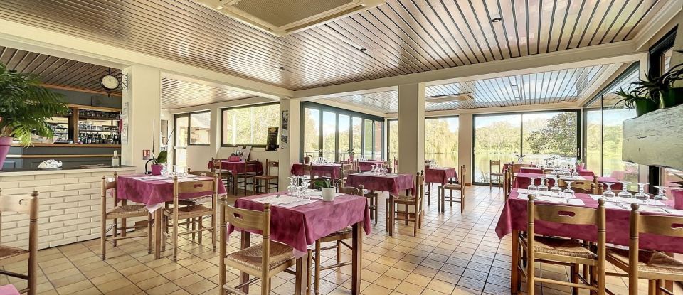 Restaurant de 183 m² à Dordives (45680)