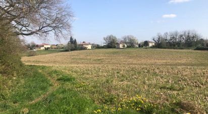 Land of 14,140 m² in Eauze (32800)