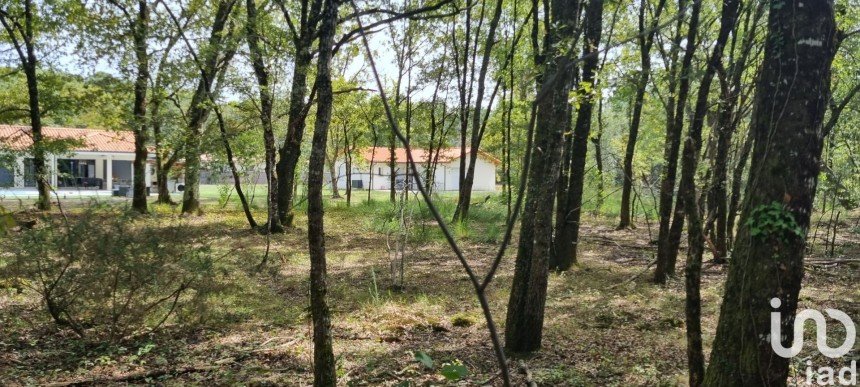 Land of 2,313 m² in Moustey (40410)