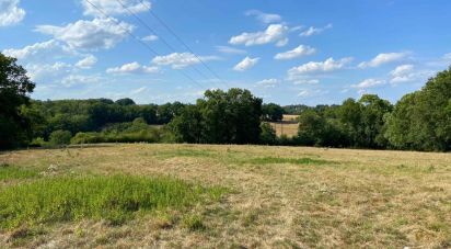 Land of 48,482 m² in Availles-Limouzine (86460)