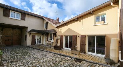 Maison de village 7 pièces de 275 m² à Cernay-lès-Reims (51420)