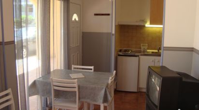 Appartement 1 pièce de 29 m² à Canet-en-Roussillon (66140)