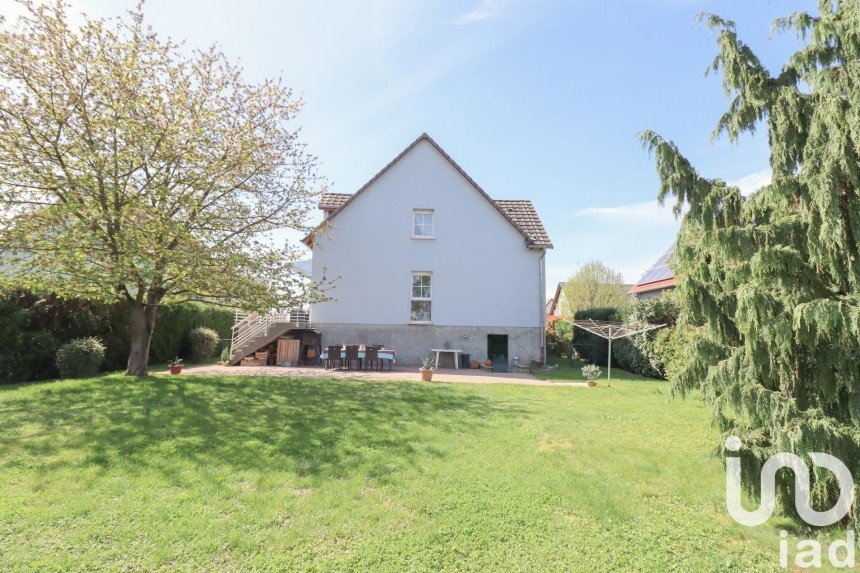 Maison traditionnelle 7 pièces de 170 m² à Gambsheim (67760)