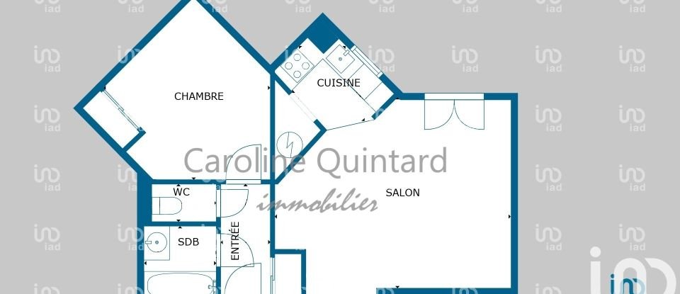 Appartement 2 pièces de 50 m² à Colomiers (31770)