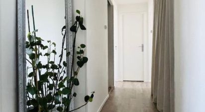 Apartment 3 rooms of 60 m² in Bordeaux (33200)