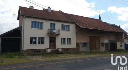 Maison traditionnelle 7 pièces de 187 m² à Réding (57445)