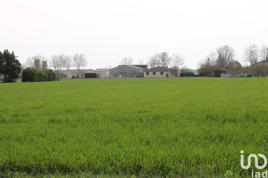 Land of 13,297 m² in Gaillac (81600)