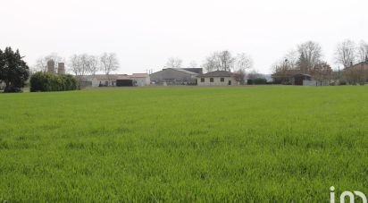 Land of 13,297 m² in Gaillac (81600)