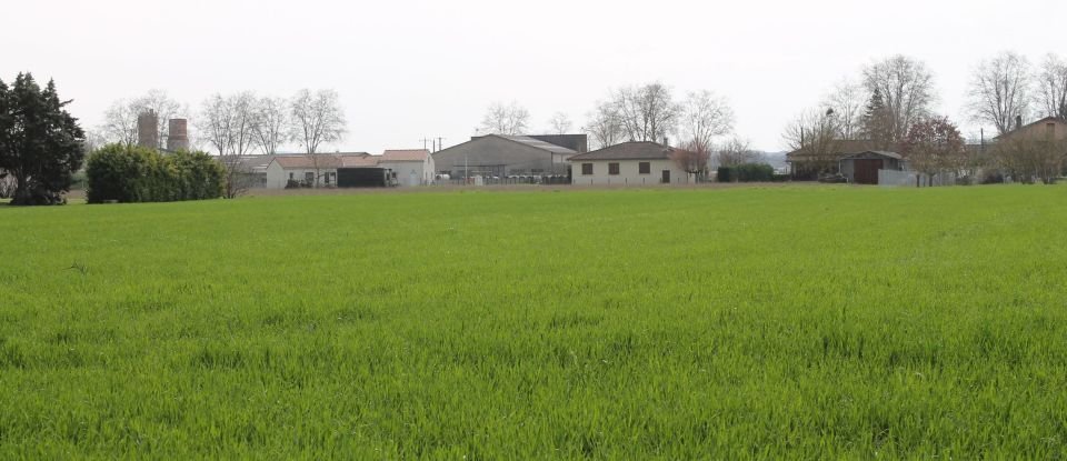 Land of 13,297 sq m in Gaillac (81600)