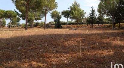 Land of 767 m² in Fitou (11510)