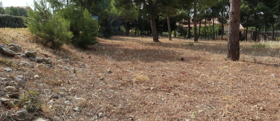Land of 767 m² in Fitou (11510)