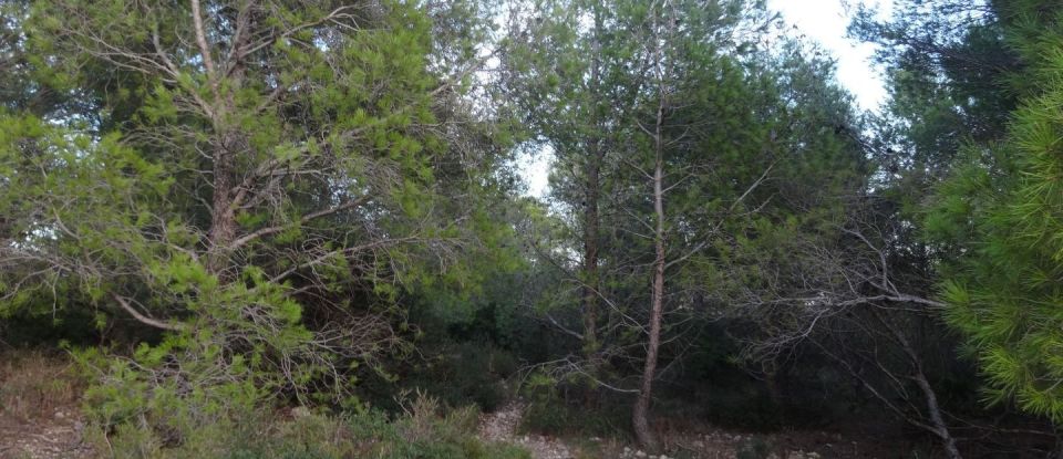 Land of 18,150 m² in Sigean (11130)