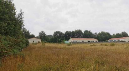 Land of 318 m² in Martinet (85150)