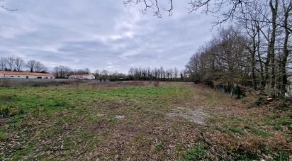 Land of 351 m² in Martinet (85150)