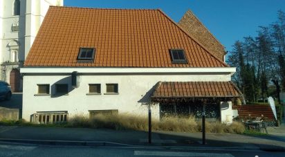 Building in Sebourg (59990) of 125 m²