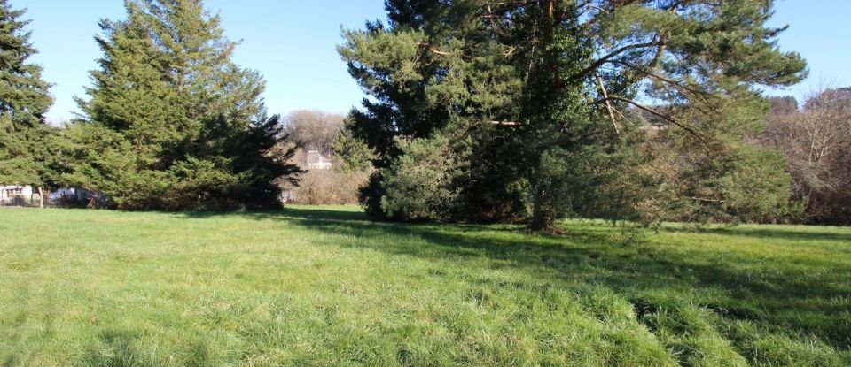 Land of 4,500 m² in Cheillé (37190)