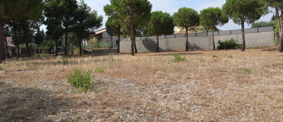 Land of 667 m² in Fitou (11510)