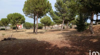 Land of 667 m² in Fitou (11510)