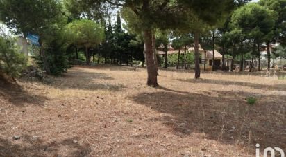 Land of 832 m² in Fitou (11510)