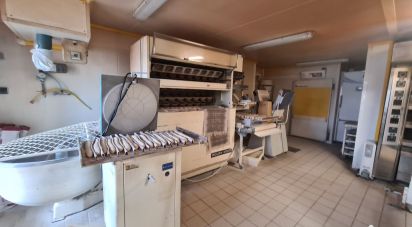 Bakery of 200 m² in Saint-Sulpice-la-Pointe (81370)