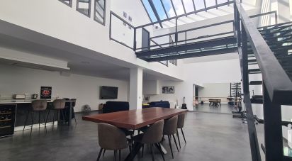Loft 6 pièces de 244 m² à Saint-Maur-des-Fossés (94100)