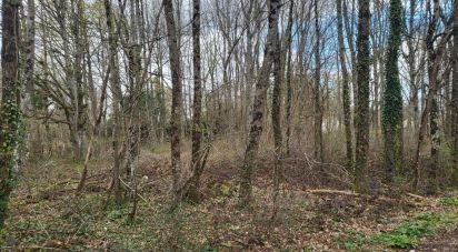 Land of 1,501 m² in Montereau (45260)