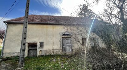 Maison 4 pièces de 172 m² à Orbigny-au-Val (52360)