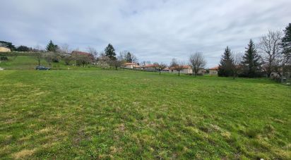 Terrain de 2 200 m² à Pouilly-lès-Feurs (42110)