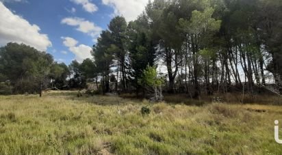 Agricultural land of 7,020 m² in Pouzols-Minervois (11120)