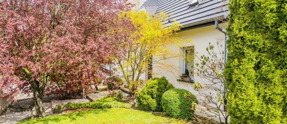 House 4 rooms of 151 m² in Seppois-le-Bas (68580)