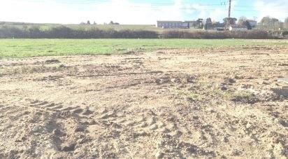 Land of 800 m² in Vertheuil (33180)
