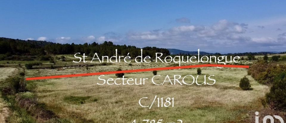 Land of 11,395 m² in Saint-André-de-Roquelongue (11200)