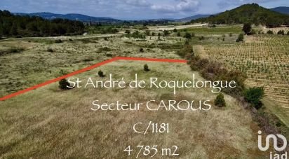 Land of 11,395 m² in Saint-André-de-Roquelongue (11200)