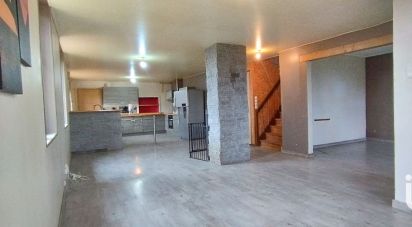 Maison 4 pièces de 150 m² à Sarrebourg (57400)