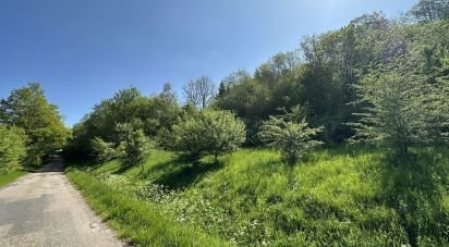 Land of 5,385 m² in Bourg-Bruche (67420)