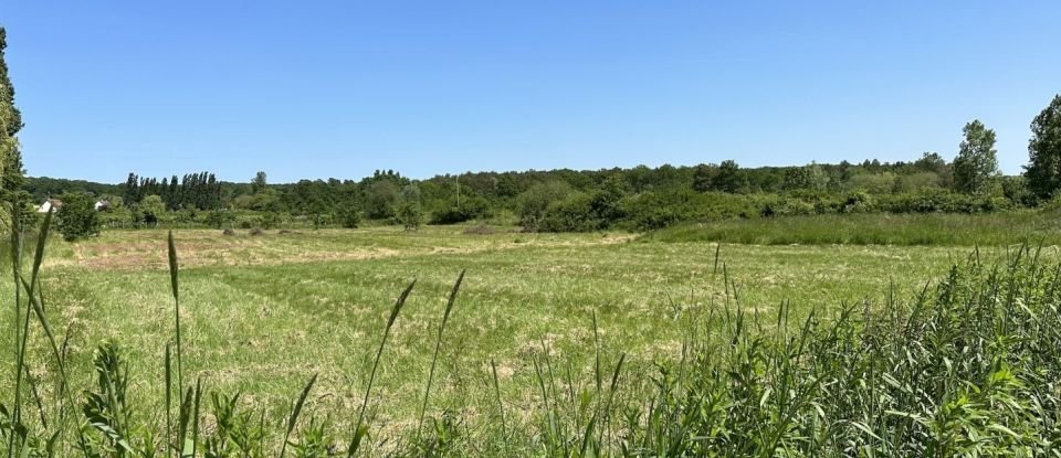 Land of 22,418 m² in Mont-près-Chambord (41250)