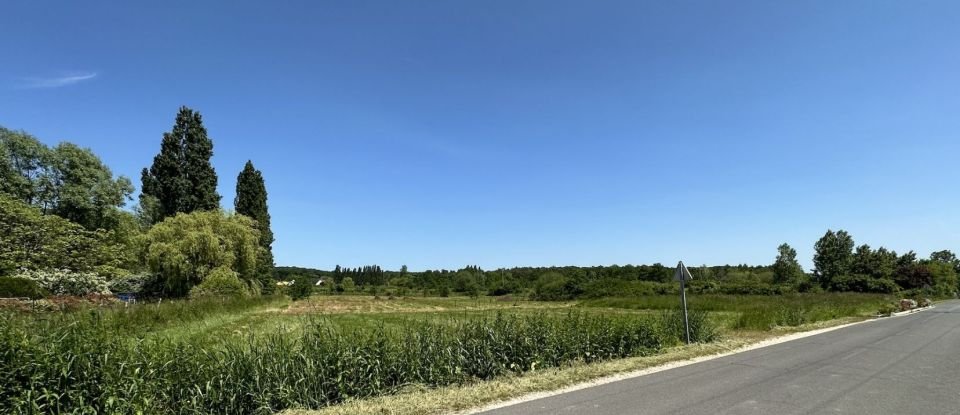 Terrain de 22 418 m² à Mont-près-Chambord (41250)