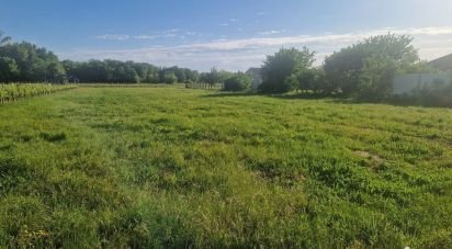 Land of 817 m² in Vertheuil (33180)