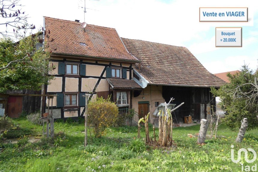 House 3 rooms of 80 m² in Seppois-le-Bas (68580)