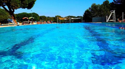 Ground Leisure activities of 332 sq m in Fréjus (83600)