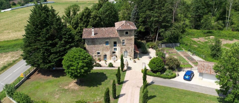 Château 8 pièces de 170 m² à Montseveroux (38122)